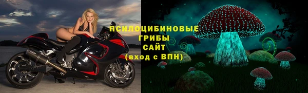 ALPHA PVP Алексин