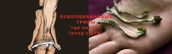 mdpv Алзамай