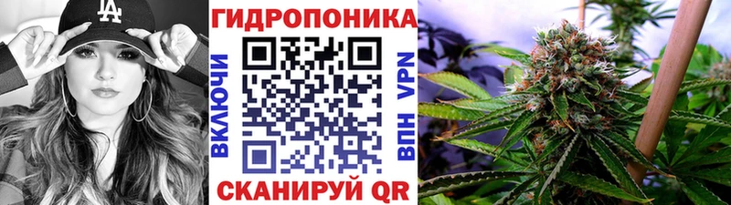 Бошки Шишки Amnesia  Магнитогорск 